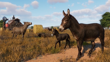 Planet Zoo: Barnyard Animal Pack (PC) - Steam Gift - GLOBAL - 12