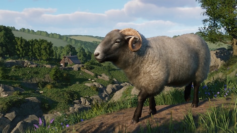 Planet Zoo: Barnyard Animal Pack (PC) - Steam Gift - GLOBAL - 3