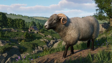 Planet Zoo: Barnyard Animal Pack (PC) - Steam Key - EUROPE - 3