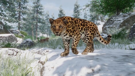 Planet Zoo: Conservation Pack (PC) - Steam Gift - EUROPE - 4