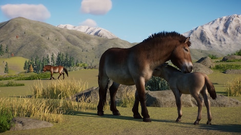 Planet Zoo: Conservation Pack (PC) - Steam Key - EUROPE - 9