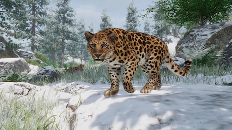 Planet Zoo: Conservation Pack (PC) - Steam Key - EUROPE - 4