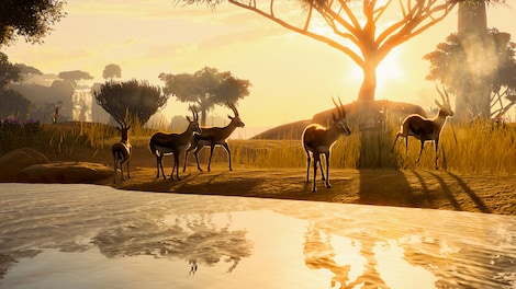 Planet Zoo: Deluxe Upgrade Pack (PC) - Steam Key - GLOBAL - 0