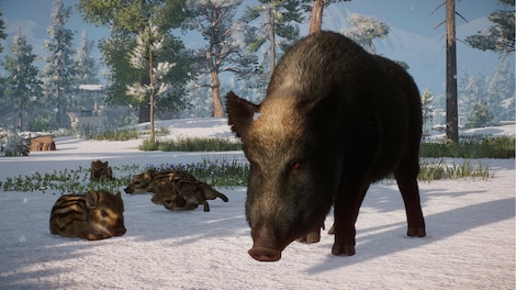 Planet Zoo: Eurasia Animal Pack (PC) - Steam Key - GLOBAL - 7