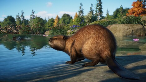 Planet Zoo: North America Animal Pack (PC) - Steam Key - EUROPE - 3