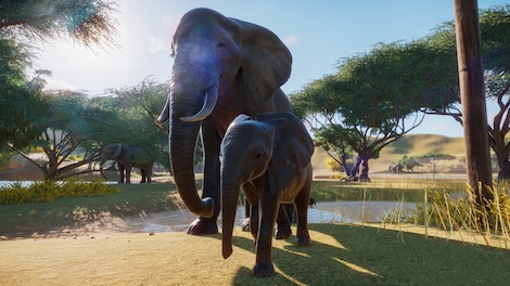 Planet Zoo | Premium Edition (PC) - Steam Gift - EUROPE - 11