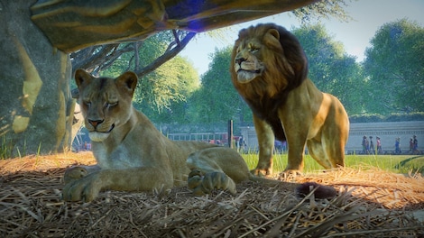 Planet Zoo | Premium Edition (PC) - Steam Gift - NORTH AMERICA - 6