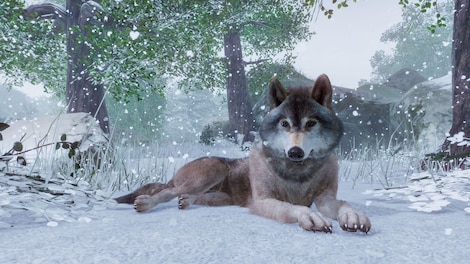 Planet Zoo | Premium Edition (PC) - Steam Gift - NORTH AMERICA - 4