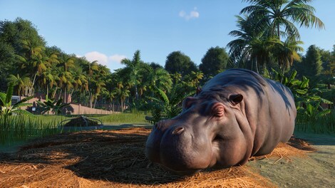 Planet Zoo | Premium Edition (PC) - Steam Key - EUROPE - 5