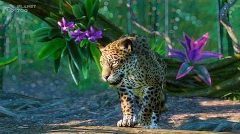 Planet Zoo: South America Pack (PC) - Steam Key - CIS - 3