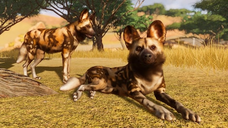 Planet Zoo Steam Key GLOBAL - 6