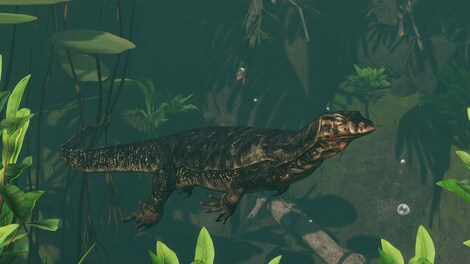 Planet Zoo: Tropical Pack (PC) - Steam Gift - EUROPE - 11