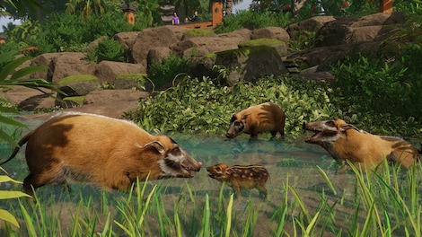 Planet Zoo: Tropical Pack (PC) - Steam Key - GLOBAL - 7