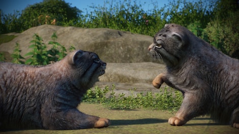 Planet Zoo: Zookeepers Animal Pack (PC) - Steam Key - NORTH AMERICA - 4
