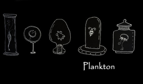 Plankton Steam Key GLOBAL - 0