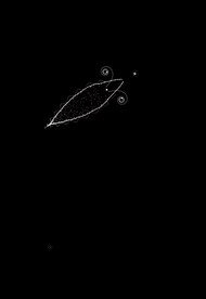 Plankton Steam Key GLOBAL - 7