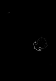 Plankton Steam Key GLOBAL - 3