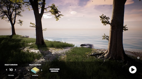 PLAYNE : The Meditation Game Steam Key GLOBAL - 14