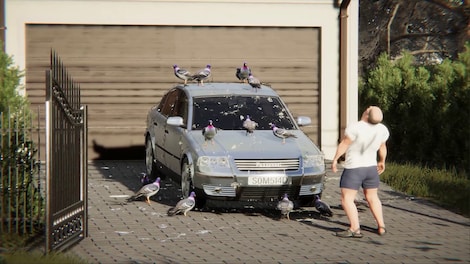 Polish Simulator (PC) - Steam Key - GLOBAL - 9