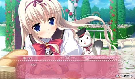 Princess Evangile All Ages Version Steam Key GLOBAL - 5