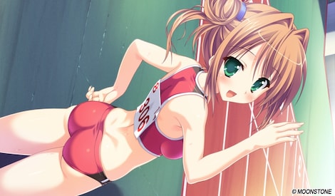 Princess Evangile W Happiness - Steam Edition Steam Key GLOBAL - 0