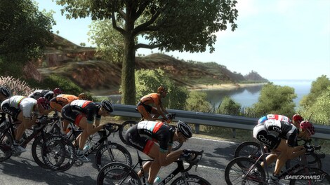 Pro Cycling Manager 2013 Steam Gift GLOBAL - 3