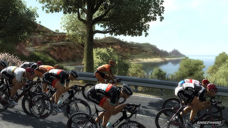 Pro Cycling Manager 2013 Steam Key EUROPE - 3