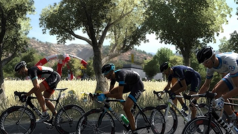 Pro Cycling Manager 2013 Steam Key POLAND - 10