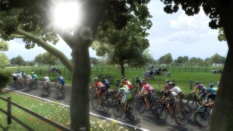 Pro Cycling Manager 2014 Steam Key GLOBAL - 0