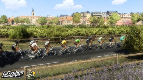 Pro Cycling Manager 2016 Steam Key GLOBAL - 8