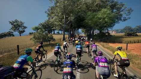 Pro Cycling Manager 25 (PC) - Steam Key - GLOBAL - 10