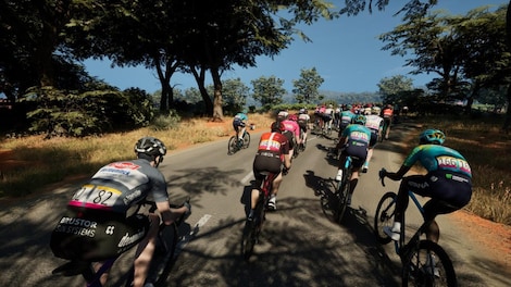 Pro Cycling Manager 25 (PC) - Steam Key - GLOBAL - 3
