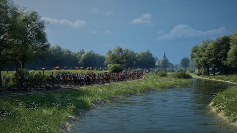 Pro Cycling Manager 25 (PC) - Steam Key - GLOBAL - 5
