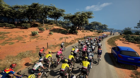 Pro Cycling Manager 25 (PC) - Steam Key - GLOBAL - 12