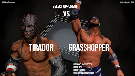 Pro Wrestling X (PC) - Steam Key - GLOBAL - 14