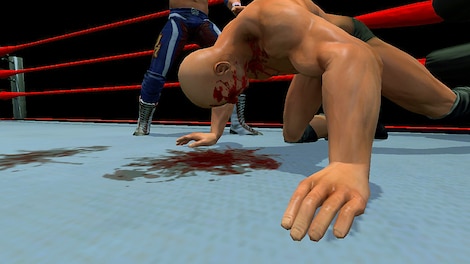 Pro Wrestling X (PC) - Steam Key - GLOBAL - 4