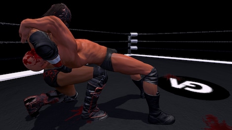 Pro Wrestling X (PC) - Steam Key - GLOBAL - 19
