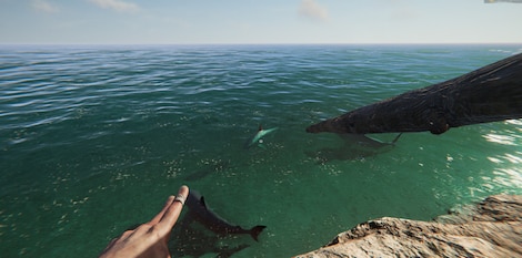 Project Castaway (PC) - Steam Account - GLOBAL - 11