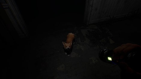 Project Unknown (PC) - Steam Account - GLOBAL - 8