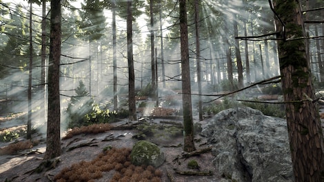 Prologue: Go Wayback! (PC) - Steam Key - EUROPE - 7