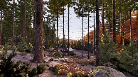 Prologue: Go Wayback! (PC) - Steam Key - EUROPE - 4