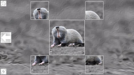 Puzzle Art: Rodents (PC) - Steam Key - GLOBAL - 6