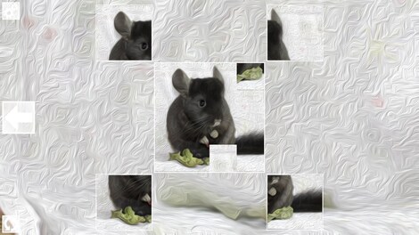 Puzzle Art: Rodents (PC) - Steam Key - GLOBAL - 4