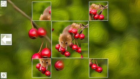 Puzzle Art: Rodents (PC) - Steam Key - GLOBAL - 3