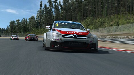 RaceRoom - WTCC 2014 Steam Gift CIS - 4