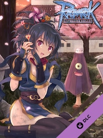 Ragnarok Online - Starter Pack Steam Key GLOBAL - 1