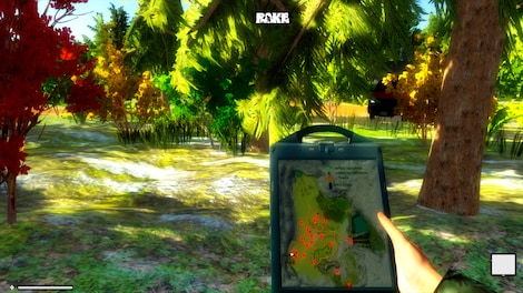 Rake Steam Key CIS - 6