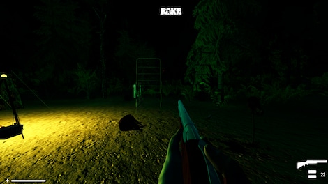 Rake Steam Key CIS - 27