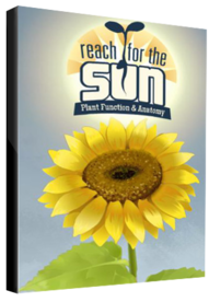 Reach for the Sun Steam Key GLOBAL - 1