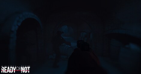 Ready or Not (Xbox Series X/S, PC) - Xbox Live Key - AUSTRALIA - 13